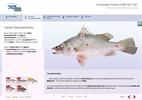Screenshot Contentseite Fisch contentseite-fisch.jpg
