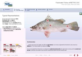 Screenshot Contentseite Fisch Screenshot Contentseite Fisch